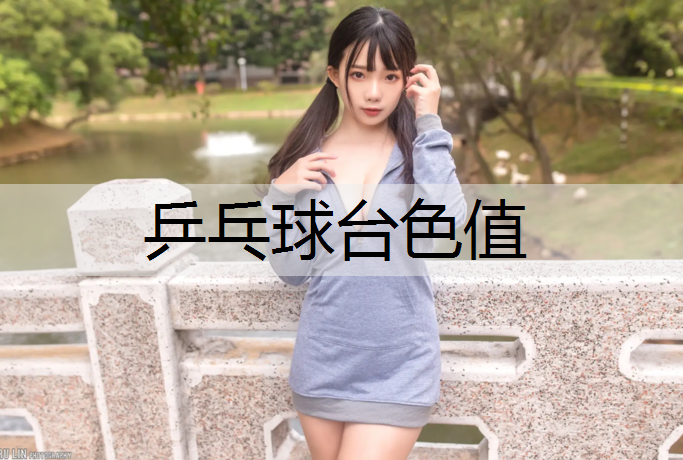 乒乓球台色值
