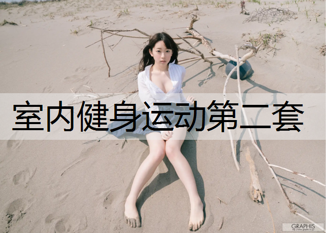 室内健身运动第二套