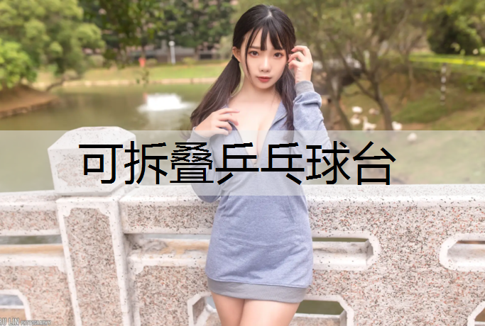 可拆叠乒乓球台