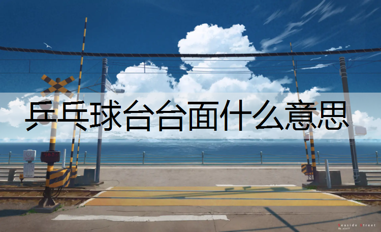 乒乓球台台面什么意思