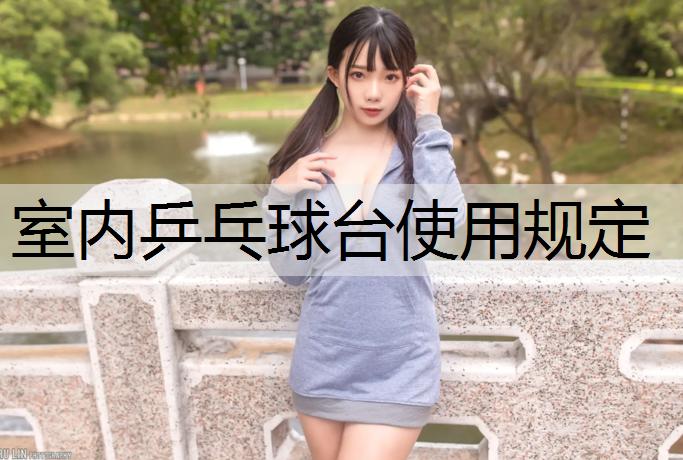 室内乒乓球台使用规定