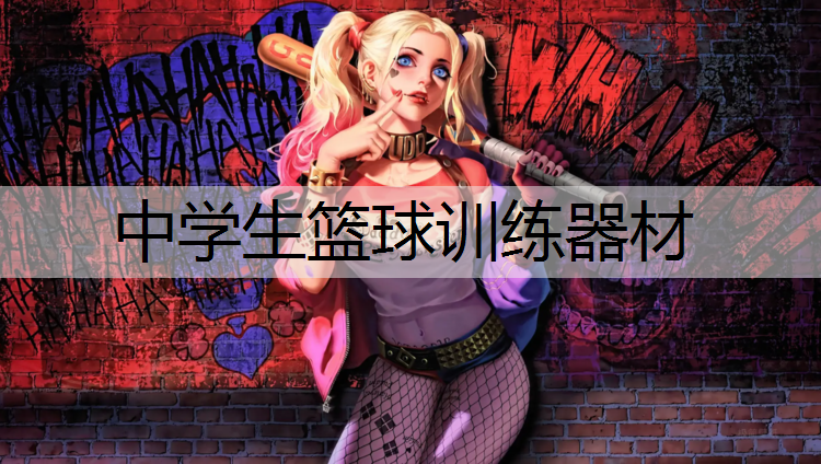 中学生篮球训练器材