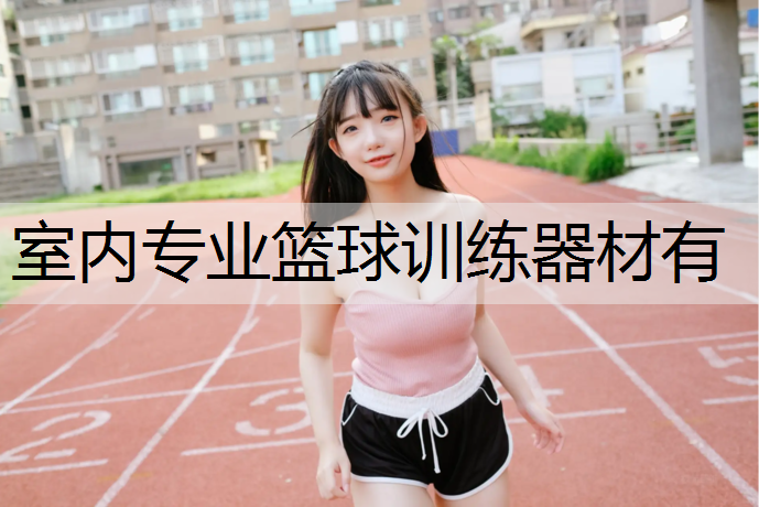 室内专业篮球训练器材有