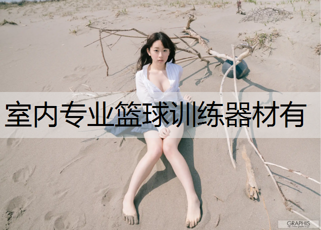 室内专业篮球训练器材有