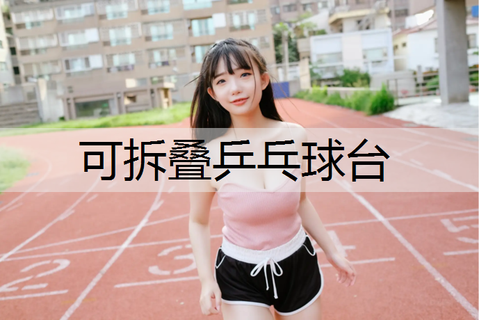 可拆叠乒乓球台