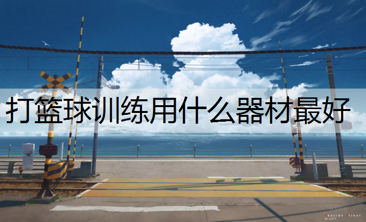打篮球训练用什么器材最好