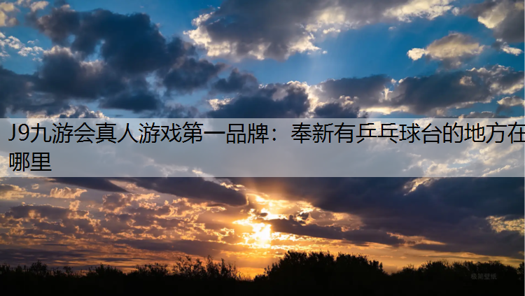 奉新有乒乓球台的地方在哪里